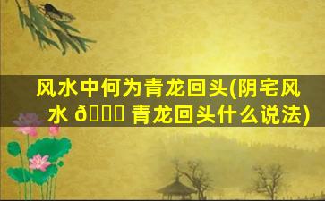 风水中何为青龙回头(阴宅风水 🐅 青龙回头什么说法)